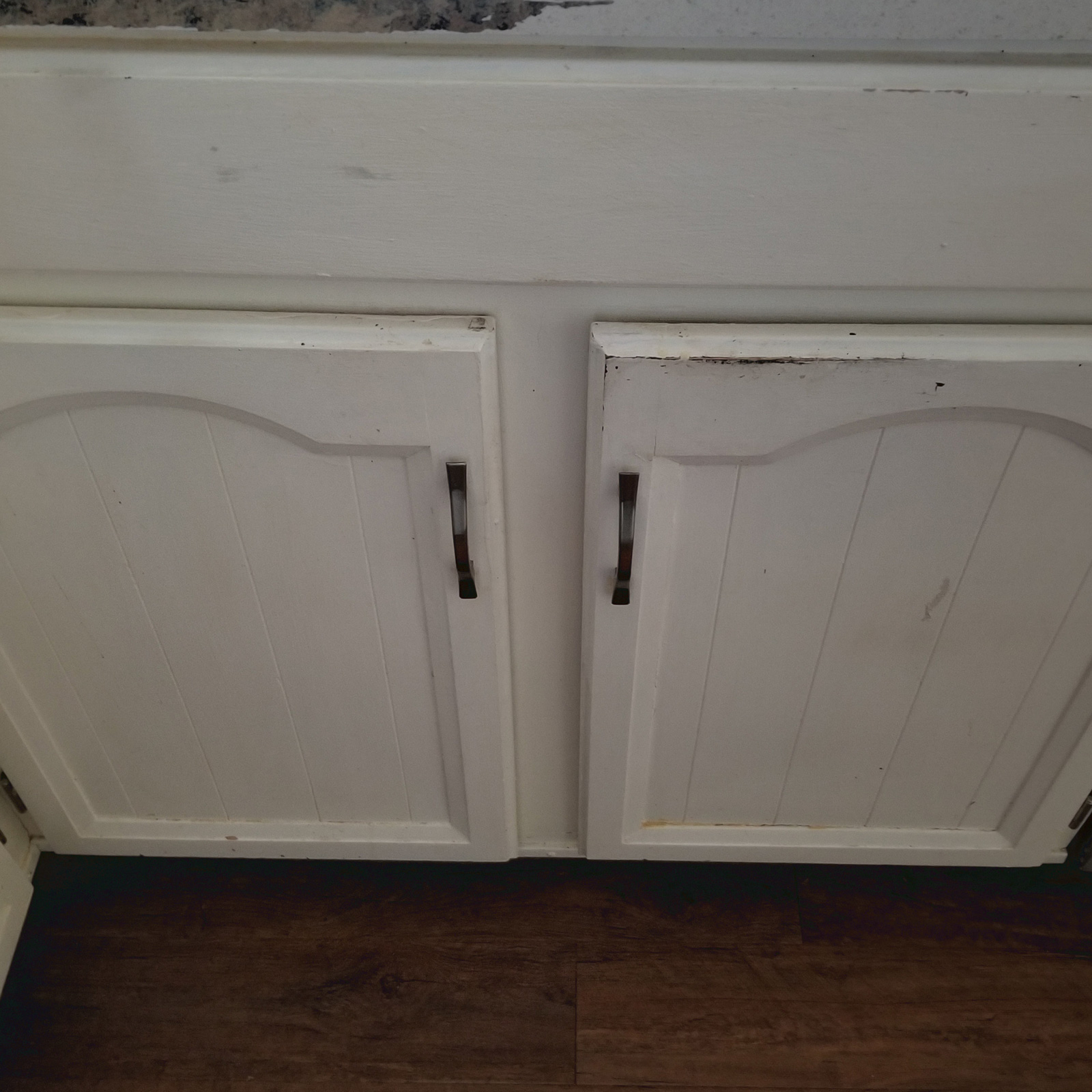 Entry 77 - These less-than-lovely cabinets appear tattered & torn